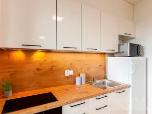 Prodej bytu 1+kk, Praha - Holešovice, Argentinská, 53 m2