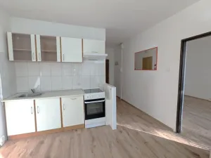 Pronájem bytu 1+1, Louny, Čs. armády, 40 m2
