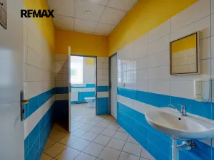 Pronájem kanceláře, Domažlice, Rohova, 70 m2