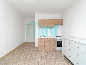Pronájem bytu 3+kk, Ostrava, Bohumínská, 53 m2