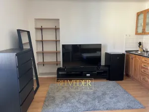 Pronájem bytu 1+kk, Praha - Nusle, Bohuslava ze Švamberka, 25 m2