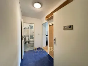 Pronájem bytu 1+kk, Praha - Nusle, Bohuslava ze Švamberka, 25 m2