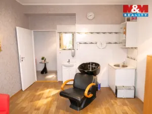 Pronájem obchodního prostoru, Ostrava - Mariánské Hory, 28. října, 25 m2
