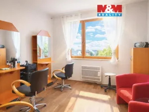 Pronájem obchodního prostoru, Ostrava - Mariánské Hory, 28. října, 50 m2
