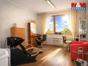 Pronájem obchodního prostoru, Ostrava - Mariánské Hory, 28. října, 50 m2
