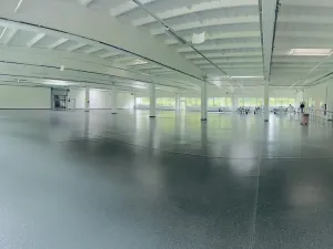 Pronájem výrobních prostor, Chodová Planá, Kyjovská, 2497 m2