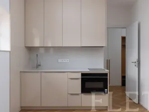 Pronájem bytu 1+kk, Praha - Nusle, Mnatova, 26 m2
