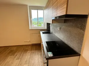 Pronájem bytu 2+1, Děčín, Škroupova, 67 m2