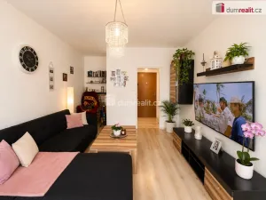 Prodej bytu 3+1, Ústí nad Labem - Ústí nad Labem-centrum, Hoření, 70 m2