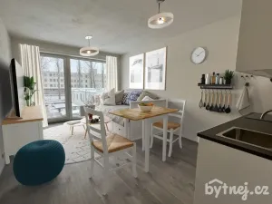 Pronájem bytu 1+kk, Vyškov - Dědice, Sídliště Osvobození, 29 m2