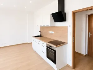 Pronájem bytu 1+kk, Praha - Motol, Podhorská, 27 m2