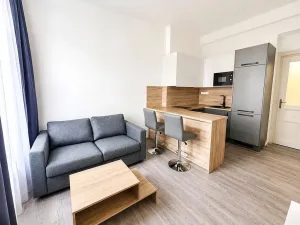 Pronájem bytu 2+kk, Praha - Vinohrady, Mánesova, 53 m2