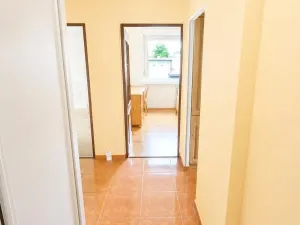 Prodej bytu 3+1, Duchcov, V Domkách, 63 m2