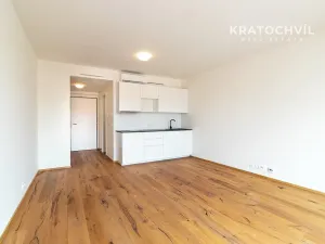 Pronájem bytu 1+kk, Praha - Karlín, Křižíkova, 32 m2