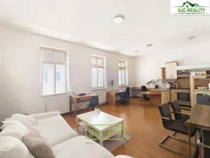 Pronájem bytu 2+kk, Plzeň, Skrétova, 78 m2