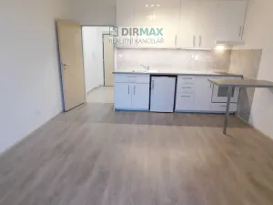Pronájem bytu 1+kk, Plzeň - Jižní Předměstí, Magisterská, 32 m2