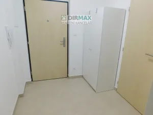 Pronájem bytu 1+kk, Plzeň - Jižní Předměstí, Magisterská, 32 m2