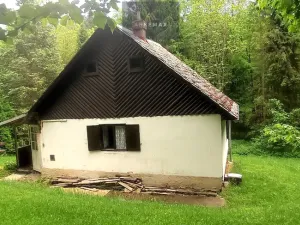 Prodej chaty, Vítkov - Zálužné, 60 m2