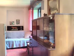 Prodej chaty, Vítkov - Zálužné, 60 m2