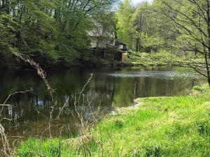 Prodej chaty, Vítkov - Zálužné, 60 m2