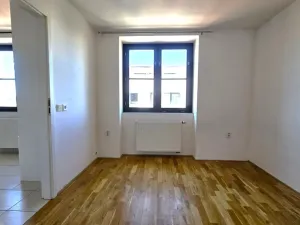 Pronájem bytu 2+1, Praha, Braunerova, 46 m2
