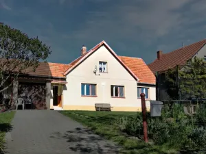 Prodej atypického bytu, Nová Sídla, 92 m2