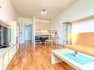 Pronájem bytu 1+kk, Praha - Žižkov, Havlíčkovo náměstí, 32 m2