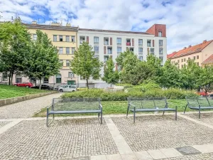 Pronájem bytu 1+kk, Praha - Žižkov, Havlíčkovo náměstí, 32 m2