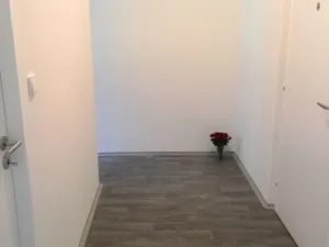 Pronájem bytu 1+1, Ostrava - Hrabůvka, U Haldy, 38 m2