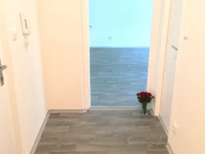 Pronájem bytu 1+1, Ostrava - Hrabůvka, U Haldy, 38 m2