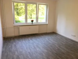 Pronájem bytu 1+1, Ostrava - Hrabůvka, U Haldy, 38 m2