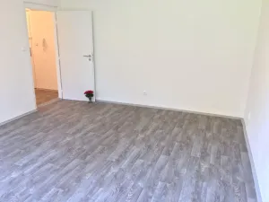 Pronájem bytu 1+1, Ostrava - Hrabůvka, U Haldy, 38 m2