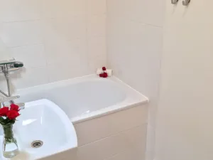 Pronájem bytu 1+1, Ostrava - Hrabůvka, U Haldy, 38 m2