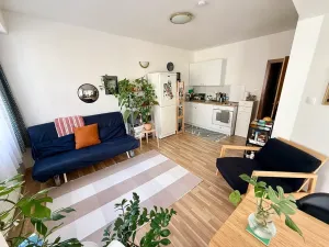 Prodej bytu 2+kk, Praha - Žižkov, Dalimilova, 50 m2