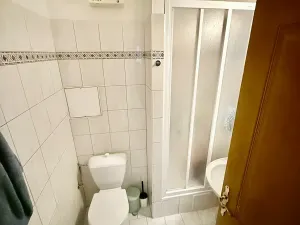 Prodej bytu 2+kk, Praha - Žižkov, Dalimilova, 50 m2
