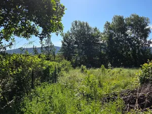 Prodej pozemku pro bydlení, Pstruží, 1145 m2