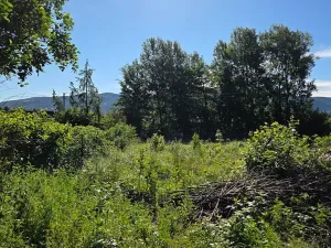Prodej pozemku pro bydlení, Pstruží, 1145 m2