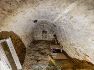 Prodej rodinného domu, Božice, 382 m2