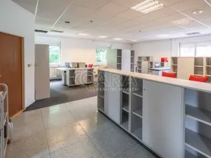 Pronájem kanceláře, Libiš, Školní, 201 m2