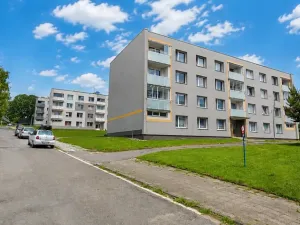 Prodej bytu 1+1, Rokytnice v Orlických horách, U Nádraží, 39 m2