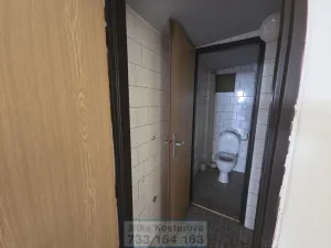 Pronájem kanceláře, Krnov - Pod Cvilínem, Čsl. armády, 100 m2