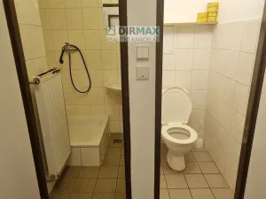 Pronájem pokoje, Plzeň - Východní Předměstí, Zahradní, 15 m2