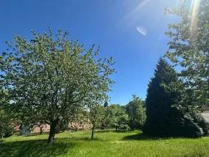 Prodej rodinného domu, Benešov nad Černou, 120 m2