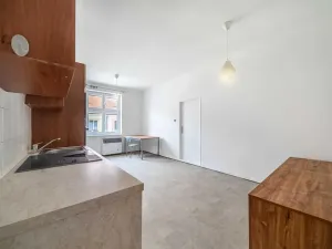 Pronájem bytu 2+kk, Plzeň, Vrchlického, 54 m2