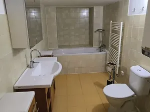 Pronájem bytu 2+kk, Cheb, Mánesova, 60 m2