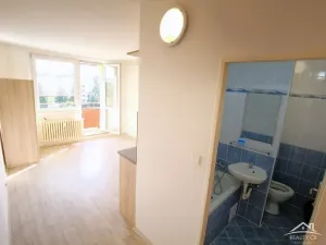 Pronájem bytu 1+kk, Jihlava, Okružní, 20 m2