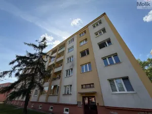 Prodej bytu 3+1, Most, Zdeňka Fibicha, 71 m2