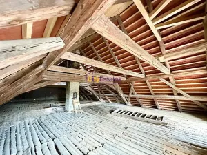 Prodej komerční nemovitosti, Tuhaň, 700 m2