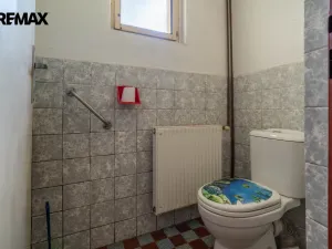 Prodej rodinného domu, Zlátenka, 425 m2