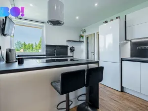 Prodej rodinného domu, Albrechtice, Rekreační, 280 m2